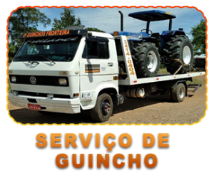 serv_guincho
